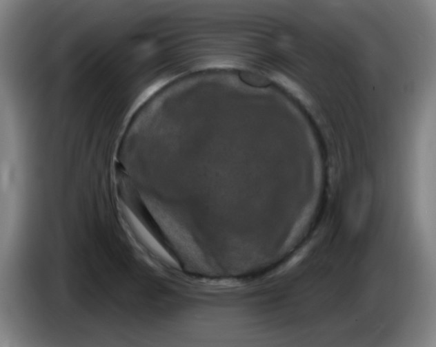 X0000085321129200703302038