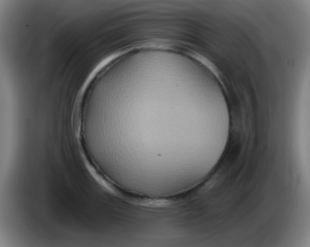 X0000085321131200703302038