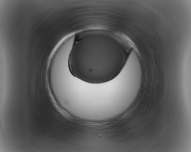 X0000085321132200703302038