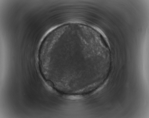 X0000085321133200703302038