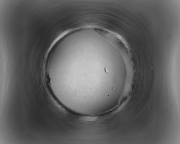 X0000085321134200703302038