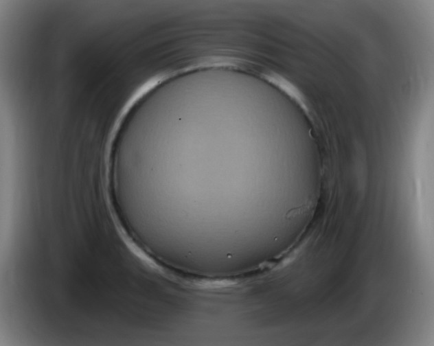 X0000085321135200703302038