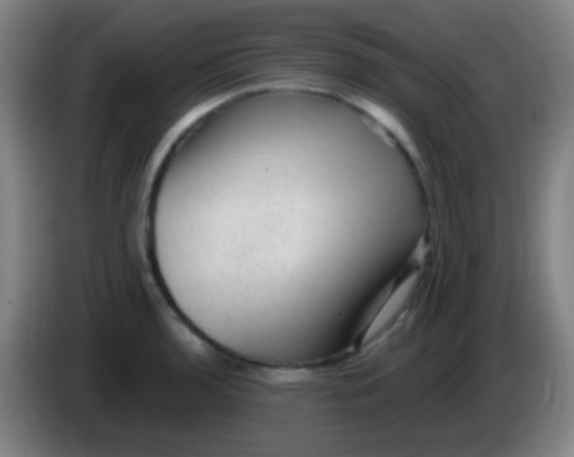 X0000085321136200703302039