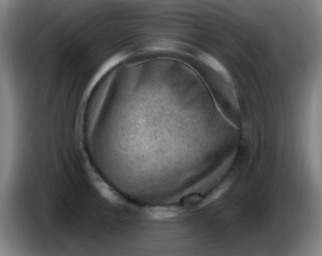 X0000085321138200703302039