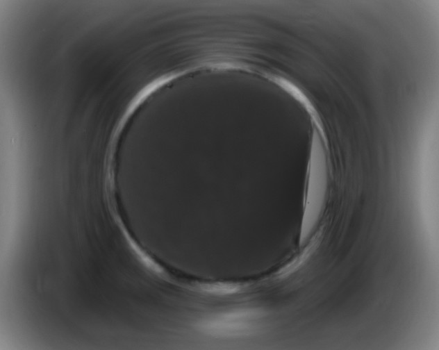 X0000085321141200703302039