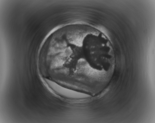 X0000085321142200703302039