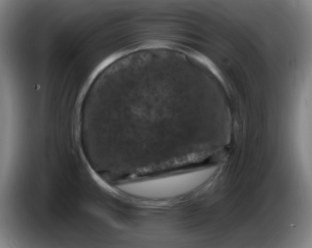 X0000085321143200703302039