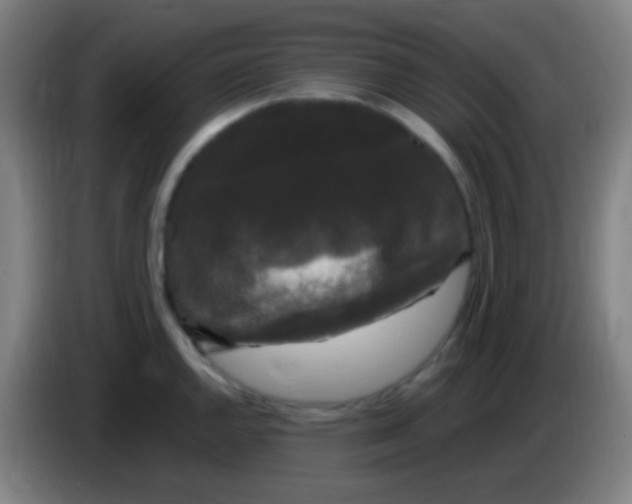 X0000085321144200703302039