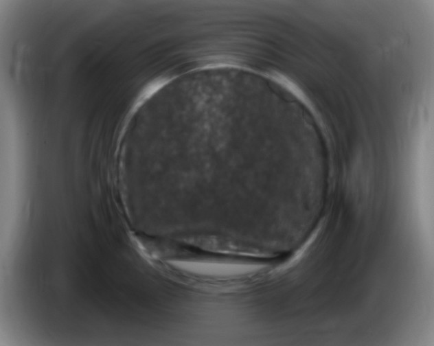 X0000085321145200703302039