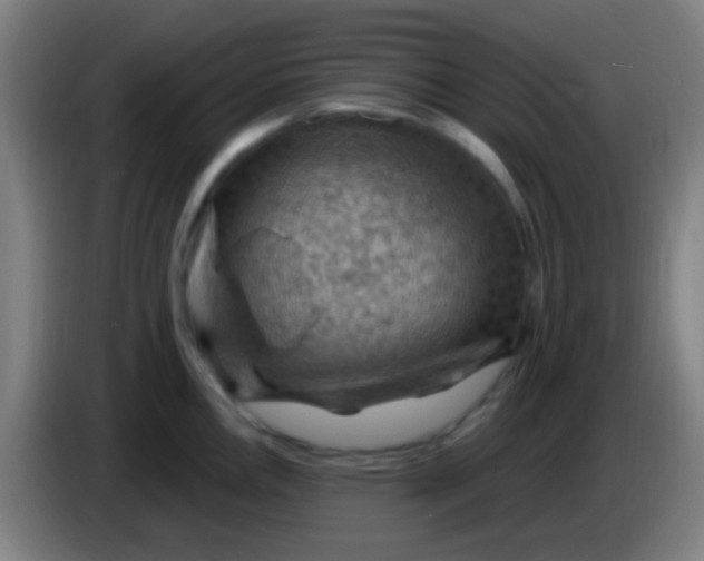 X0000085321146200703302039