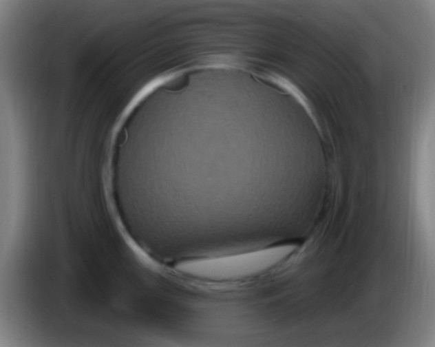 X0000085321147200703302039