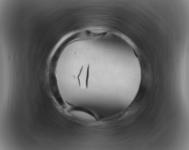 X0000085321148200703302039