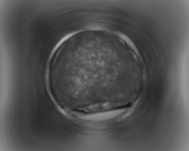 X0000085321149200703302039