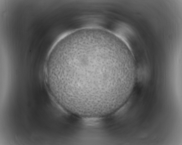 X0000085321150200703302039