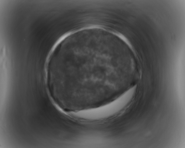 X0000085321151200703302039