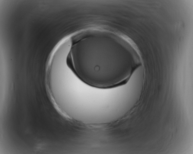 X0000085321152200703302039