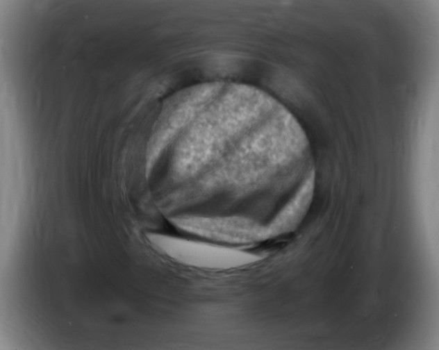 X0000085321153200703302038