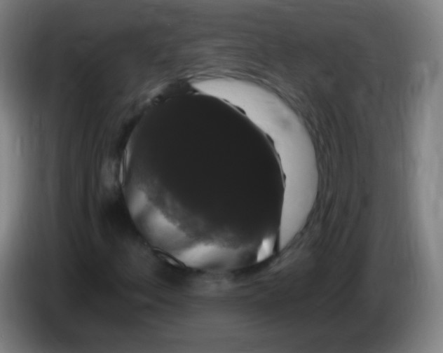 X0000085321156200703302038