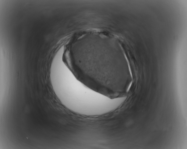 X0000085321157200703302038