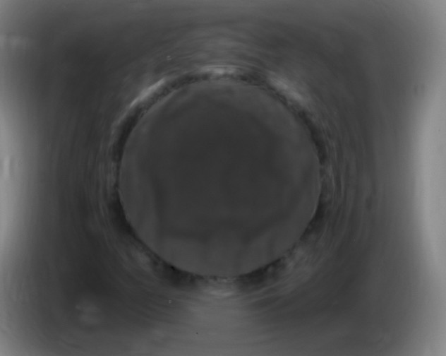 X0000085321158200703302038