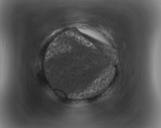 X0000085321159200703302038