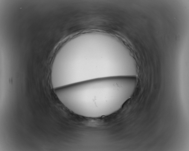 X0000085321160200703302038