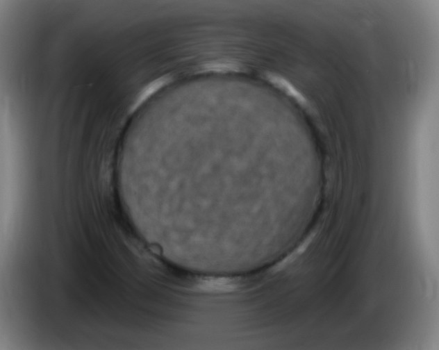 X0000085321162200703302038