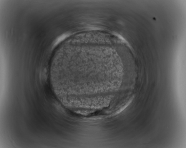 X0000085321163200703302038