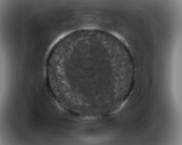 X0000085321167200703302038