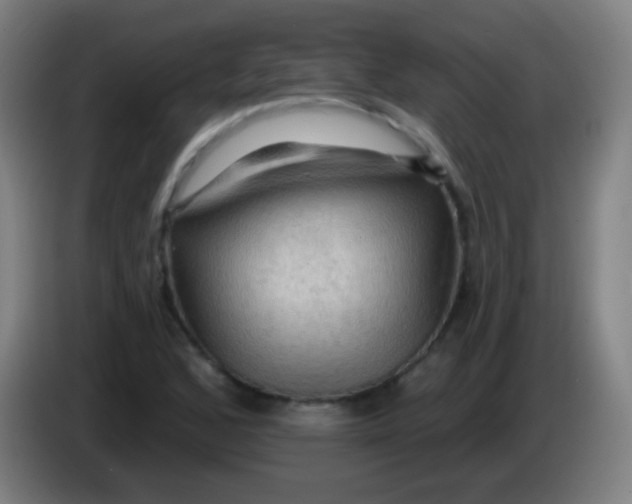 X0000085321168200703302038