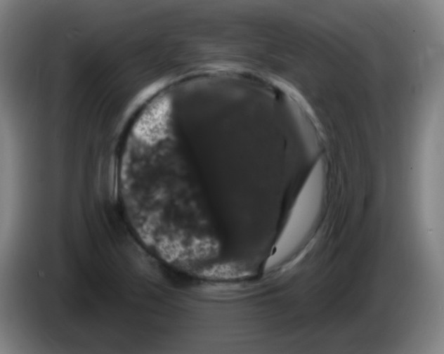 X0000085321171200703302038