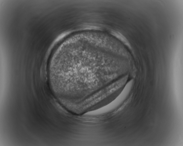 X0000085321172200703302038