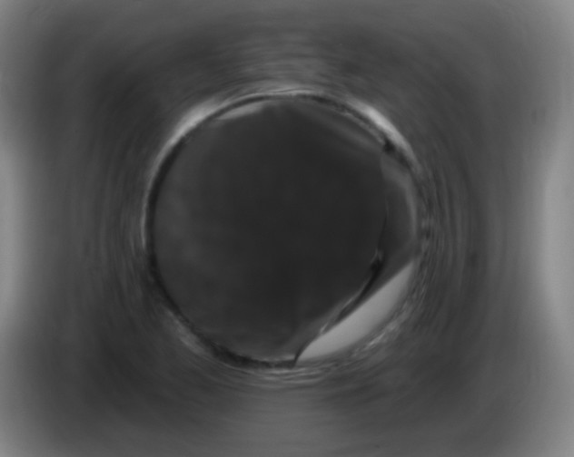 X0000085321173200703302038