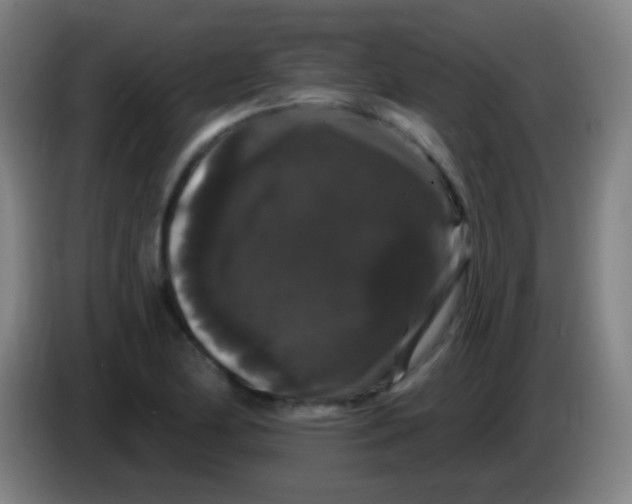 X0000085321174200703302038