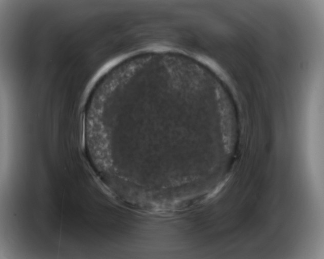 X0000085321175200703302038