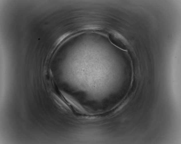 X0000085321177200703302038