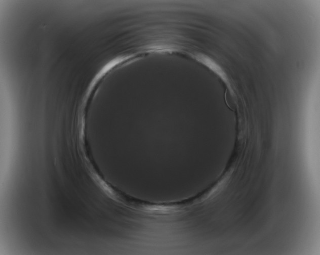 X0000085321179200703302038