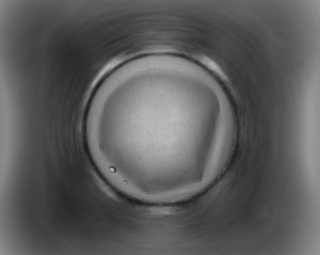 X0000085321181200703302038