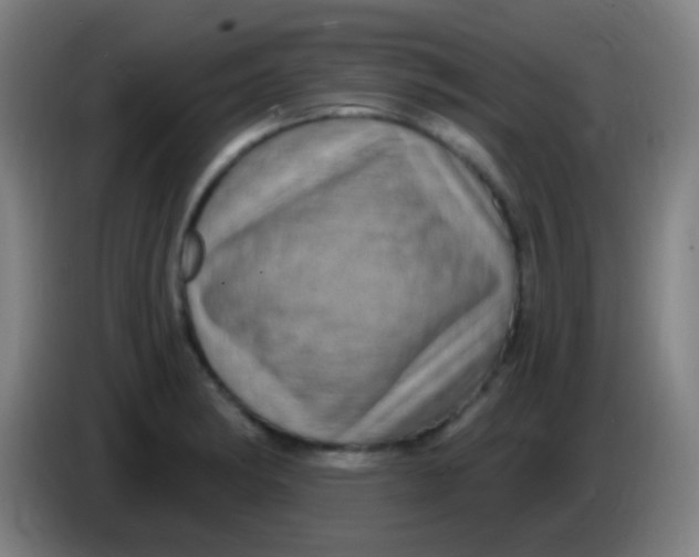 X0000085321182200703302038