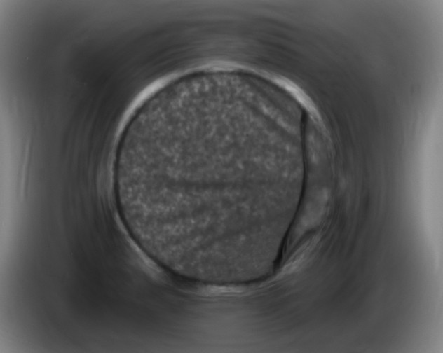 X0000085321183200703302038