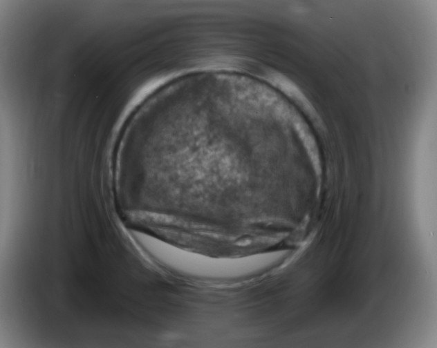 X0000085321184200703302038