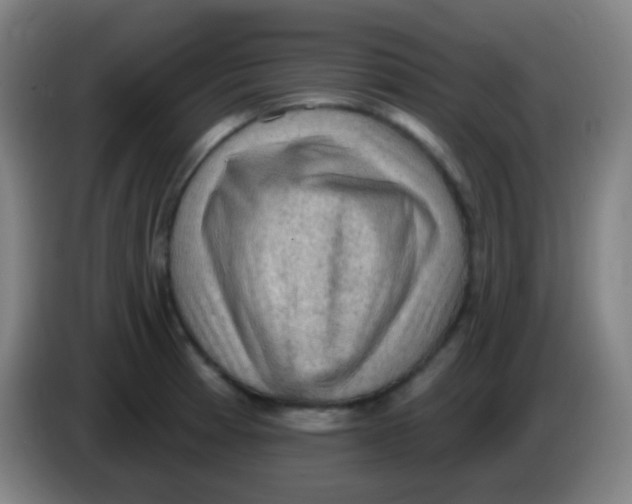 X0000085321185200703302038