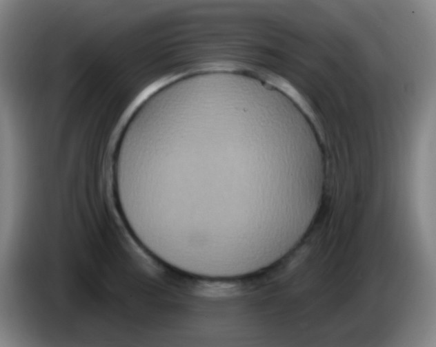 X0000085321187200703302038