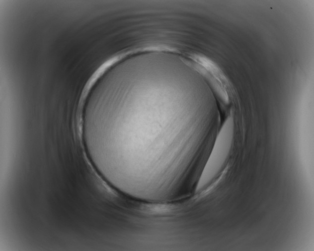 X0000085321188200703302038