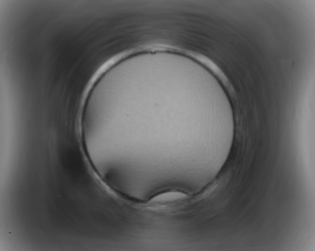 X0000085321191200703302038