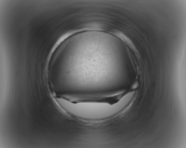 X0000085321192200703302038