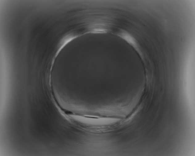 X0000085321194200703302037