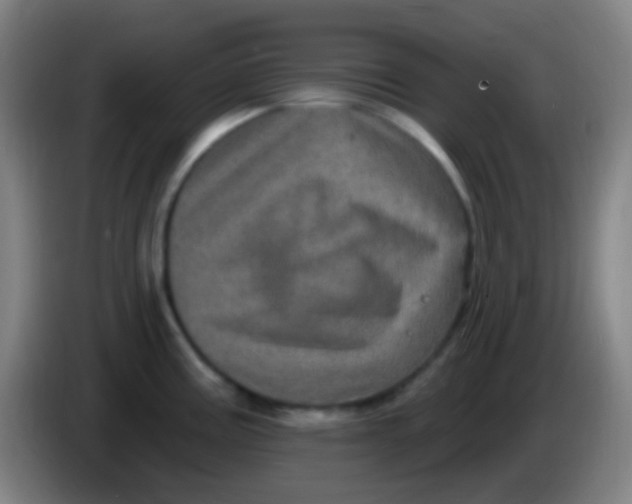 X0000085321195200703302037