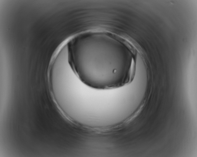 X0000085321196200703302037