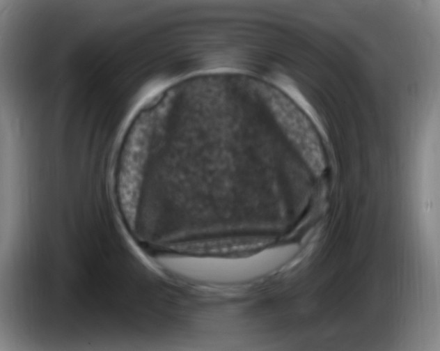 X0000085321197200703302037